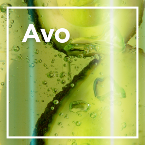 dmi ingredientlp 02 avocado stills intl mar2023