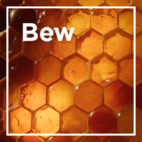 dmi ingredientlp 02 beeswax stills intl mar2023