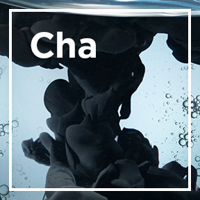 dmi ingredientlp 02 charcoal stills intl mar2023