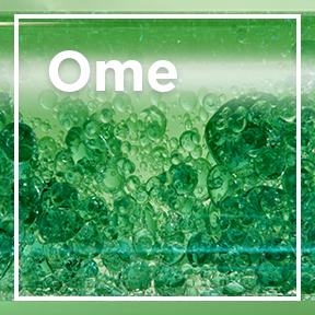 dmi ingredientlp 02 omega6 stills intl mar2023