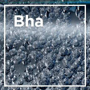 dmi ingredientslp 02 bha stills intl mar2023